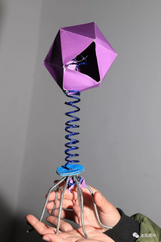 1516088192416031.png blob.png
