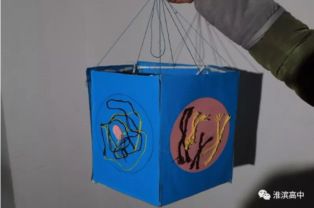 1516088335120854.png 1516088335120854.png