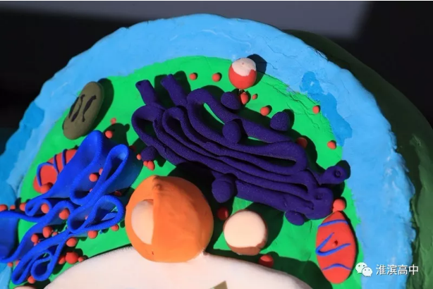1516088929106688.png 1516088929106688.png
