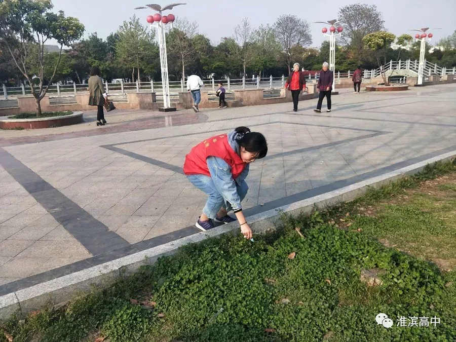 1554952517362542.jpg 4.webp.jpg